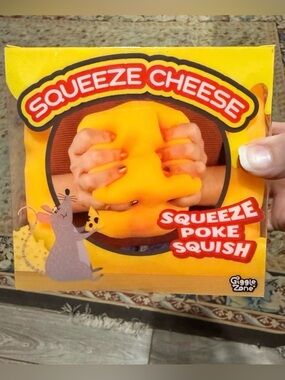 Sunny Days Squeeze Cheese Squishy Toy - Orange